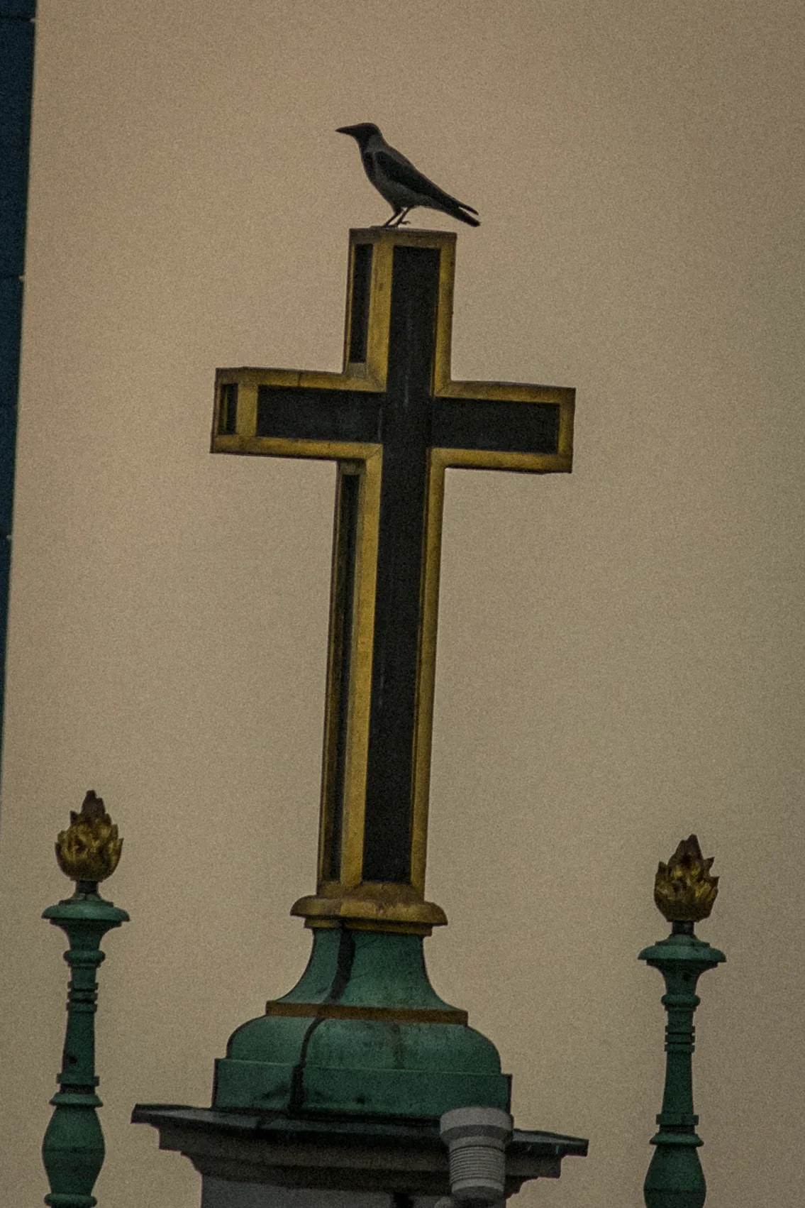 Black bird perched on top of a church cross